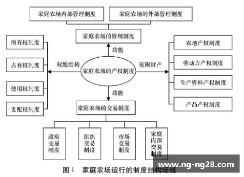 NBA薪资帽系统与球员契约：制度运作及其影响分析