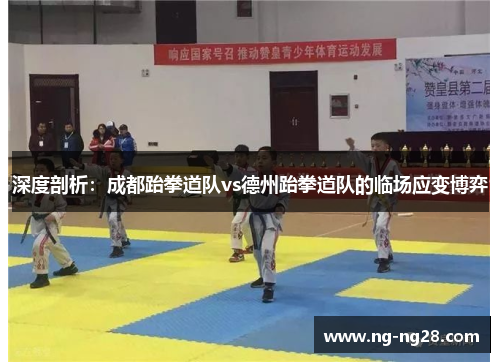 深度剖析：成都跆拳道队vs德州跆拳道队的临场应变博弈